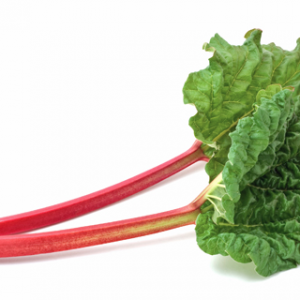 Rhubarb